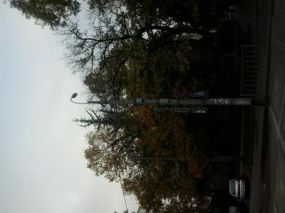 Прикрепленное изображение: 2014-10-20 08.50.20.jpg